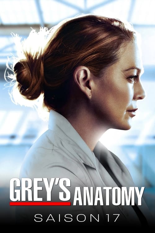 Grey's Anatomy - Saison 17