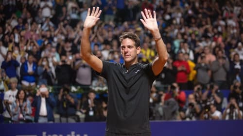 Del Potro, el último match point