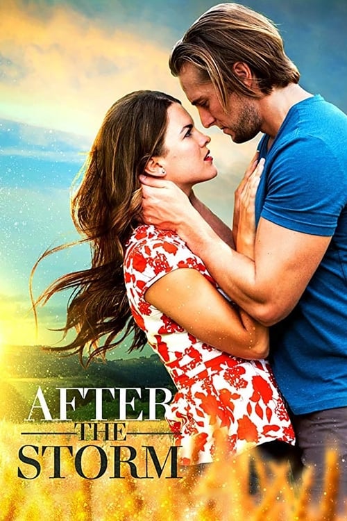 After the Storm Poster