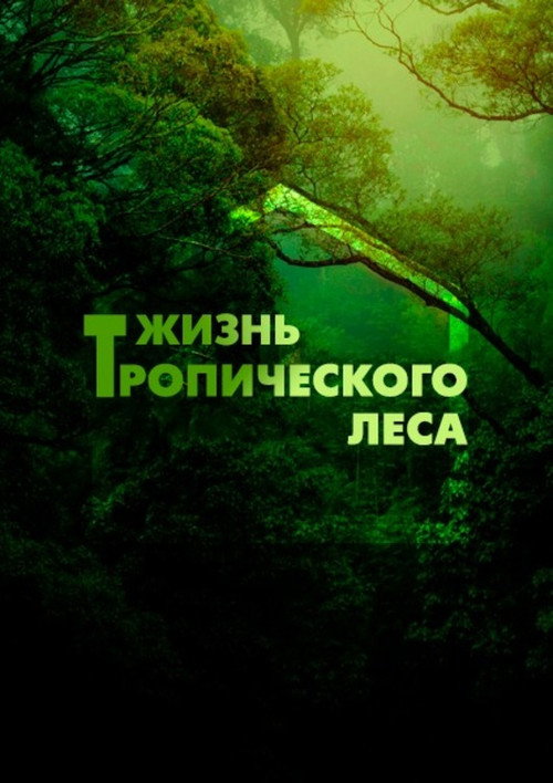Жизнь тропического леса