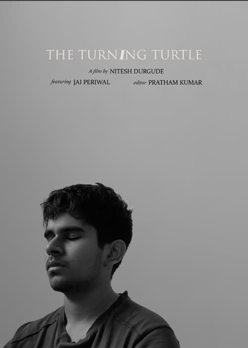 The Turning Turtle (2021) poster