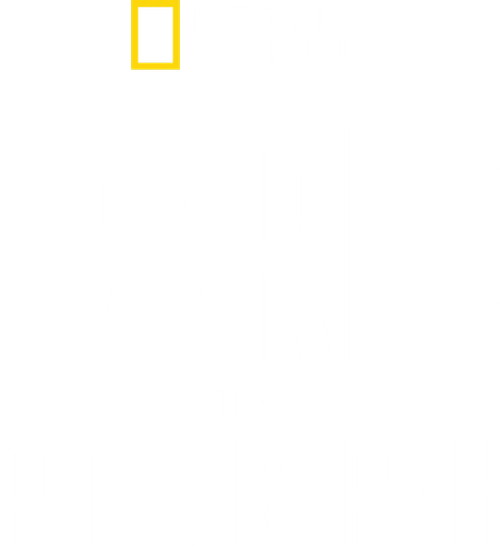 Paris to Pittsburgh