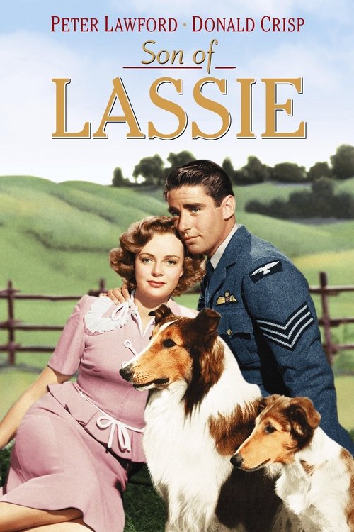 Son of Lassie (1945) — The Movie Database (TMDb)