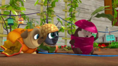 Puppy Dog Pals, S03E27 - (2020)