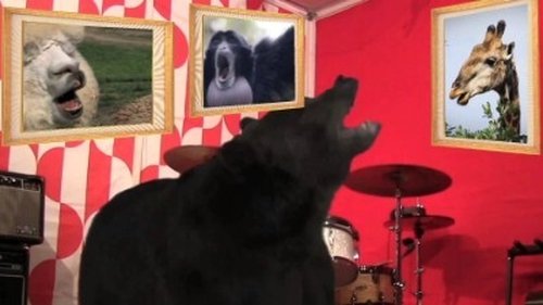 Image de l'épisode 55