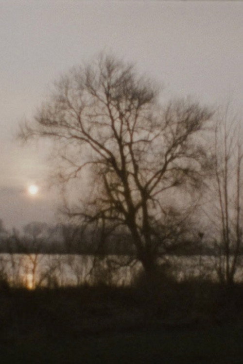 Landscape as Landscape - 27