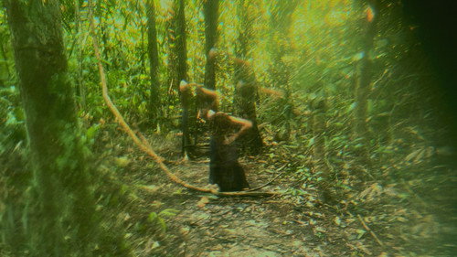 The Ascension of the Cicada