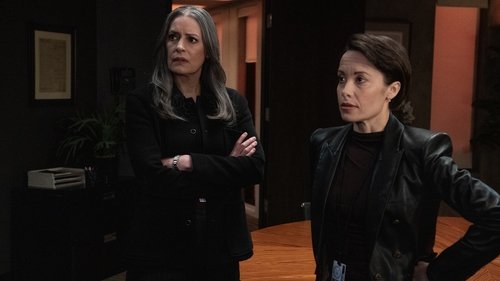 Mentes Criminosas: 17×3