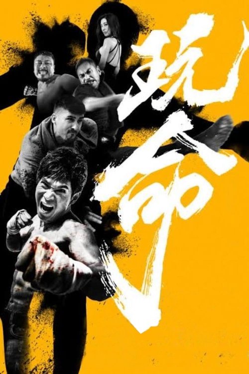 Defying Chase poster