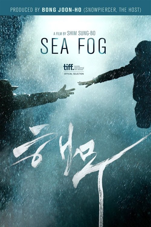 Sea Fog 2014