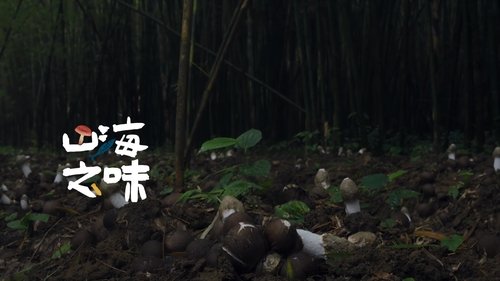 Épisode 6