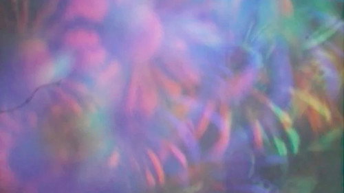The Garden Just before Dawn Backdrop Blur