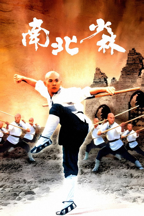 南北少林剧照6