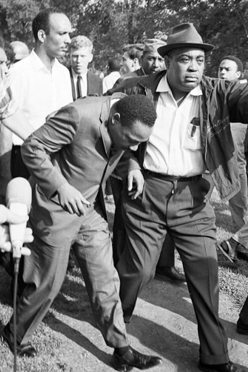 King in the Wilderness poster