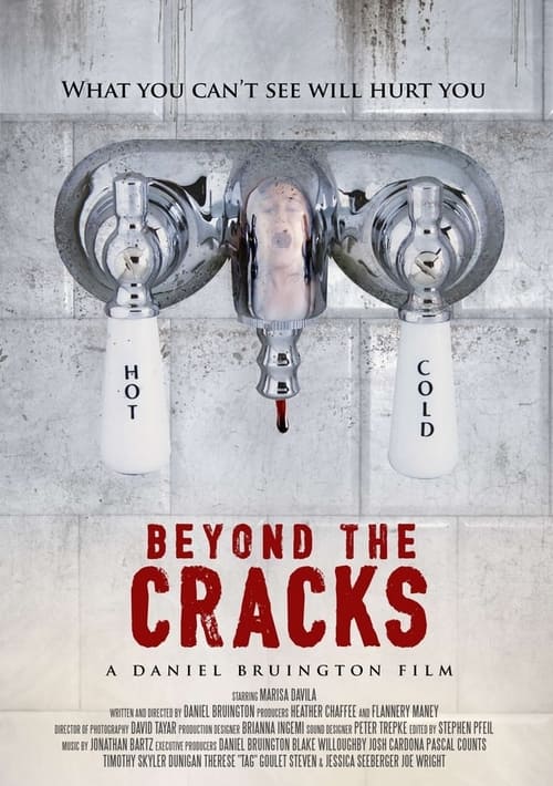 Poster Beyond the Cracks 2019