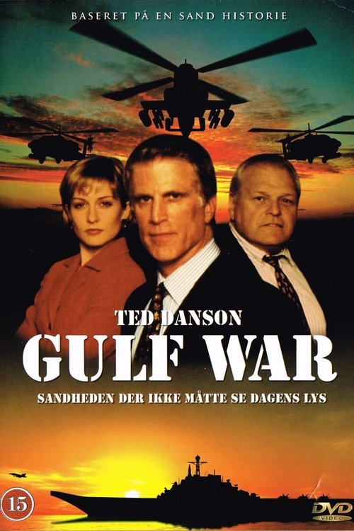 The Gulf War