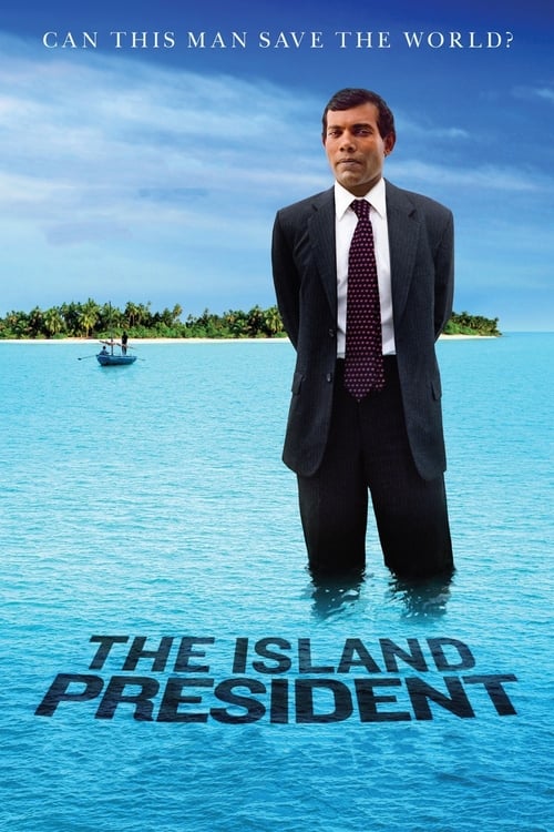 Grootschalige poster van The Island President