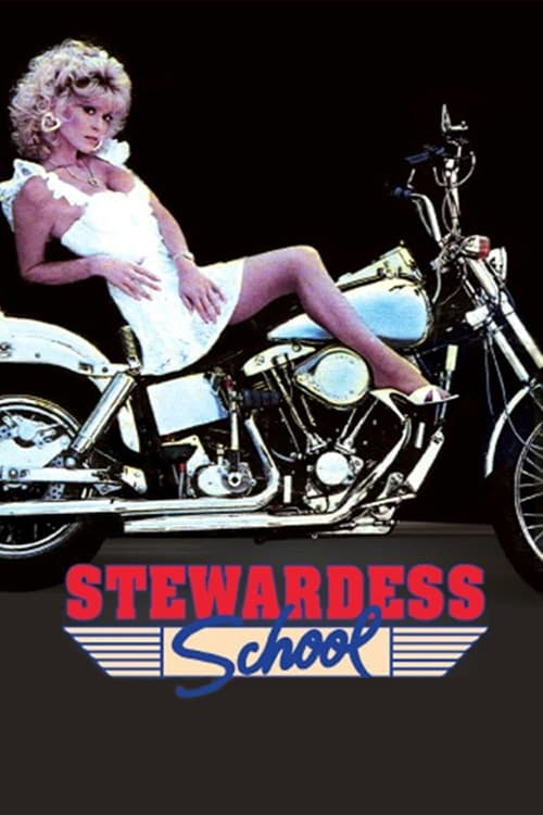 Stewardess School poster