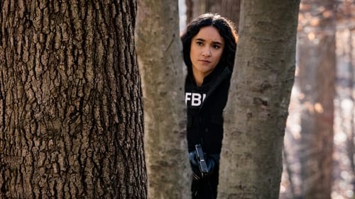 FBI: Os Mais Procurados: 1×6