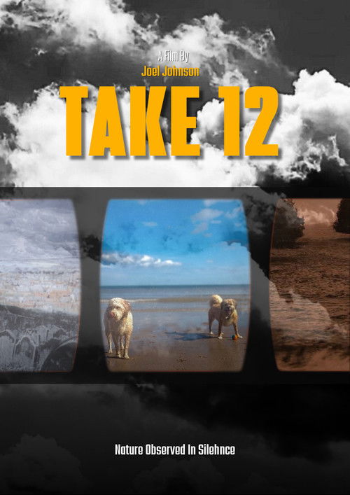 Take 12 - FİLM Afişi