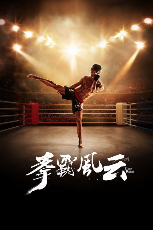拳霸风云 (2015) poster