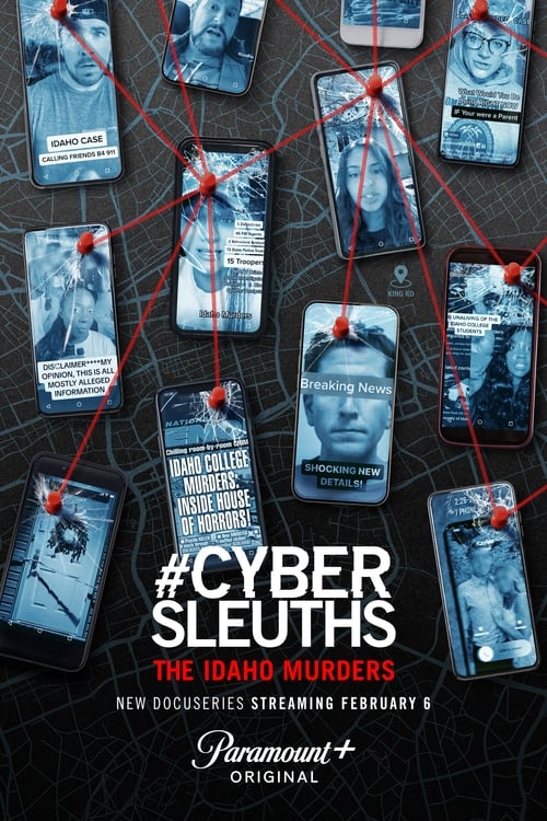 Poster #CyberSleuths: The Idaho Murders