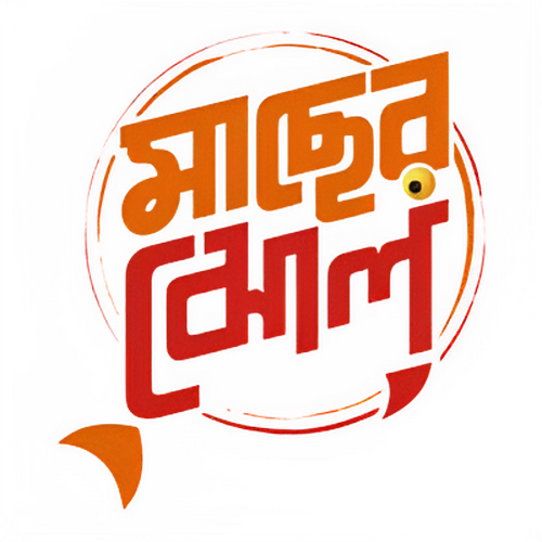 মাছের ঝোল