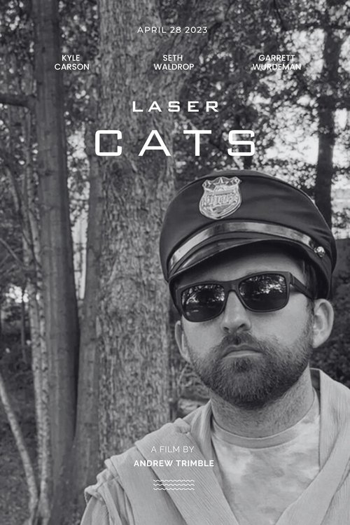 Laser Cats poster