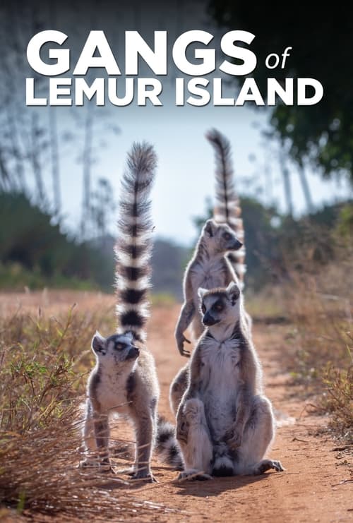 Gangs of Lemur Island (2019)