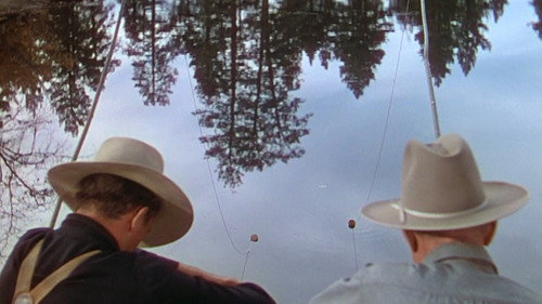 The Shepherd of the Hills