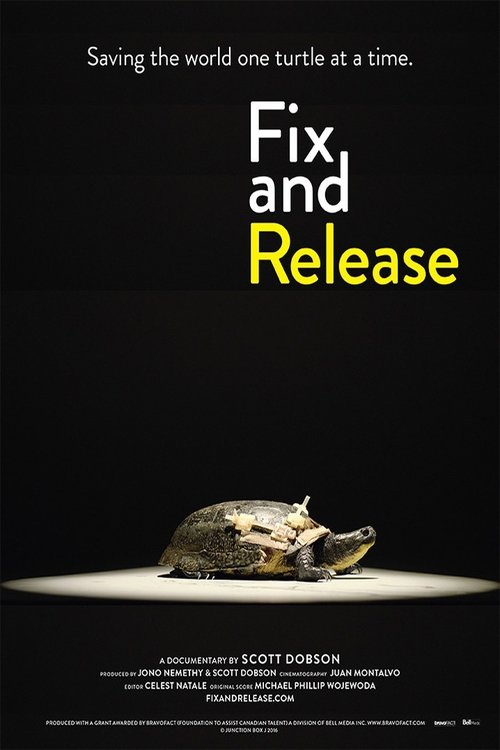 Fix and Release movie poster player
