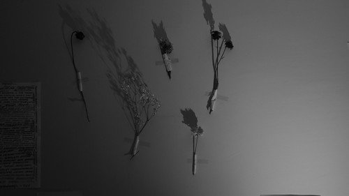 Çürümüş Anıların Rüyası Backdrop Blur