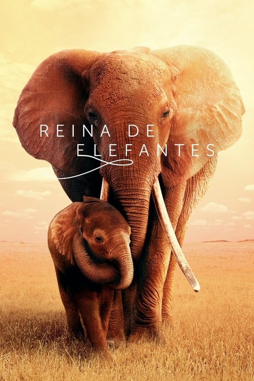 The Elephant Queen poster