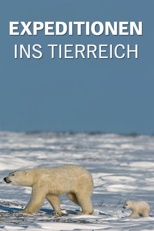 Poster Expeditionen ins Tierreich