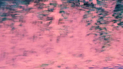 A Simple Series of Recordings Backdrop Blur