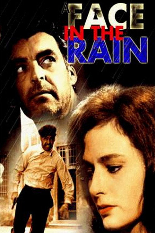 Poster de A Face in the Rain