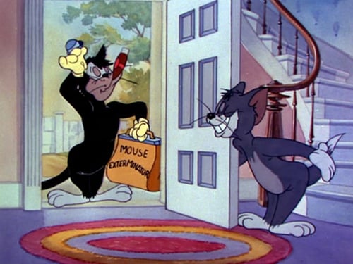 Poster della serie The Tom and Jerry Show