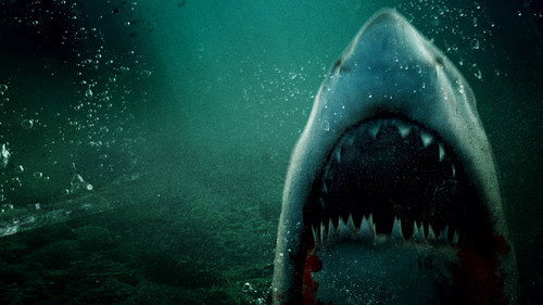 Lone Star Shark 2 - imagem 2