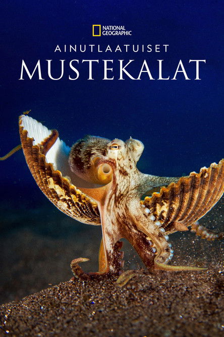 Ainutlaatuiset mustekalat