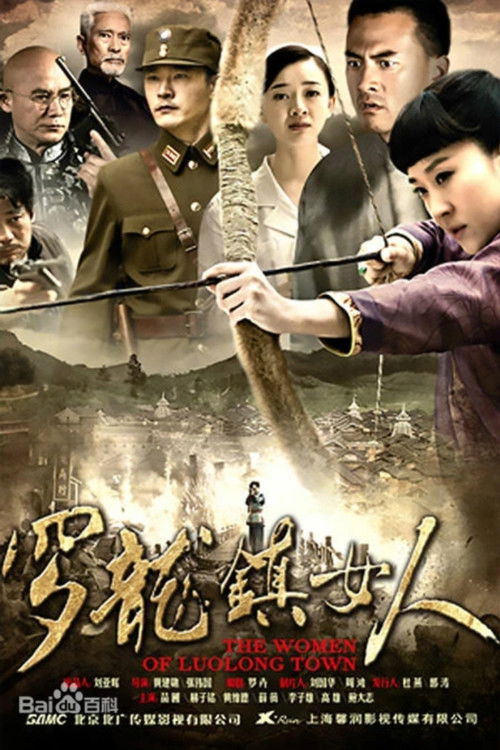 罗龙镇女人 (2014) poster