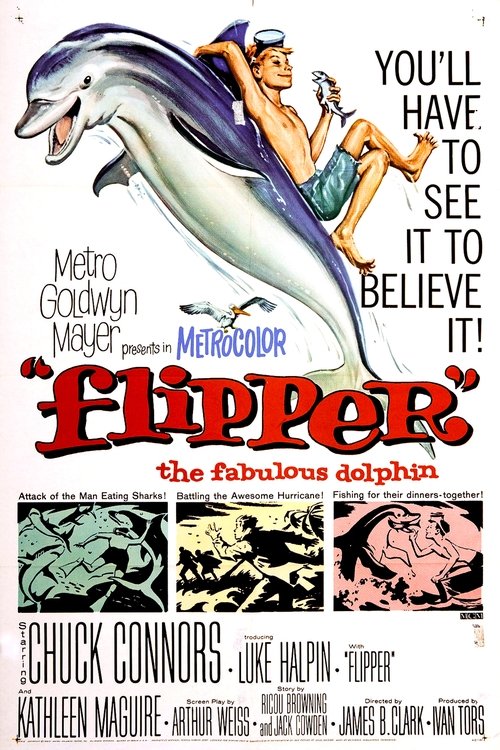 Flipper 1963