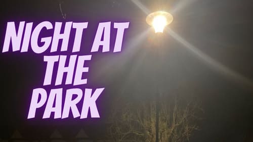 Night At The Park