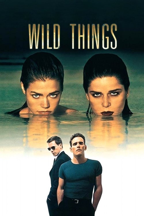 Wild Things movie poster player