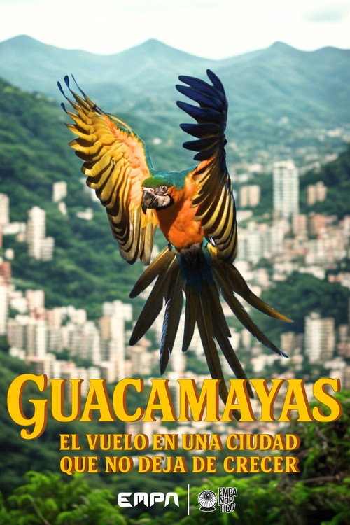 Guacamayas: El vuelo en una ciudad que no deja de crecer