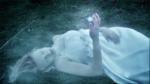 Two Wolves of the Blood Princess