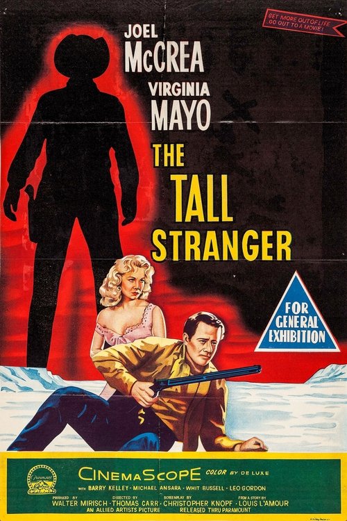 The Tall Stranger poster