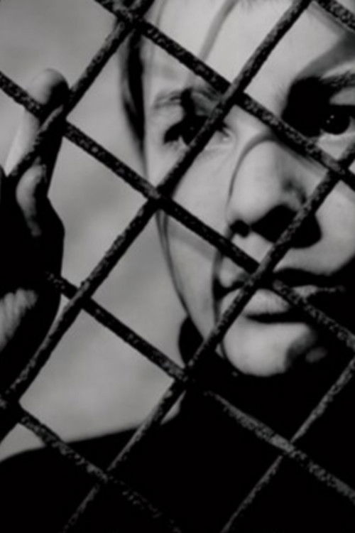 Pòster de The Adventures of Antoine Doinel Collection