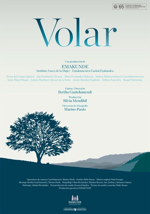 Volar movie poster player