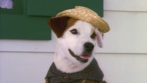 Épisode 2