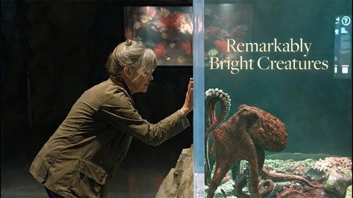 Remarkably Bright Creatures